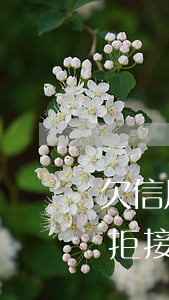 欠信用卡逾期不接電話，信用卡逾期未還，為何拒接催收電話？